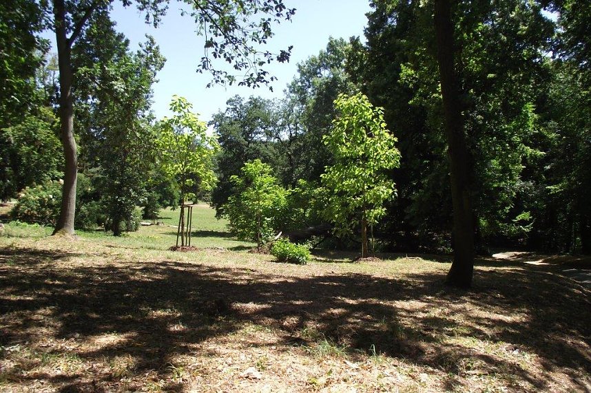 Noch gr&uuml;nt es im Park Hohenrode