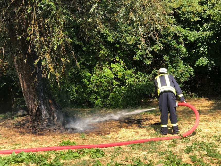 Baum angez&uuml;ndet