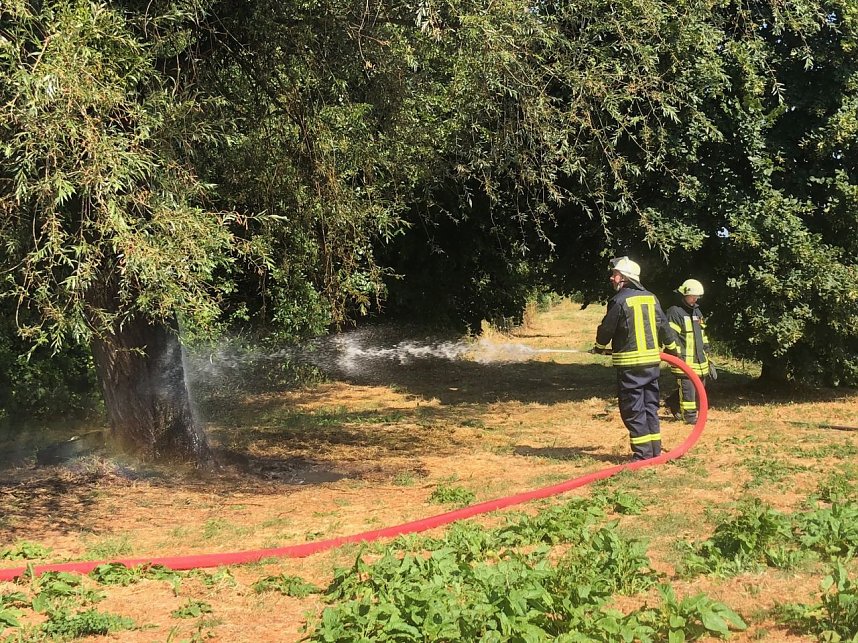 Baum angez&uuml;ndet