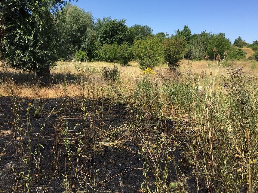 Brand in ehemaliger Kiesgrube