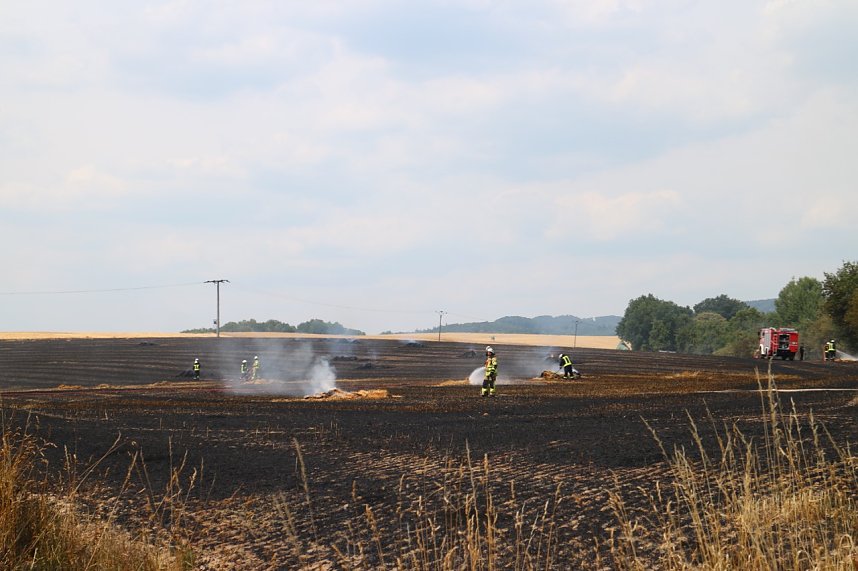 Abgebranntes Feld bei Niedersachswerfen