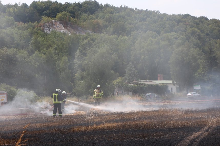 Abgebranntes Feld bei Niedersachswerfen