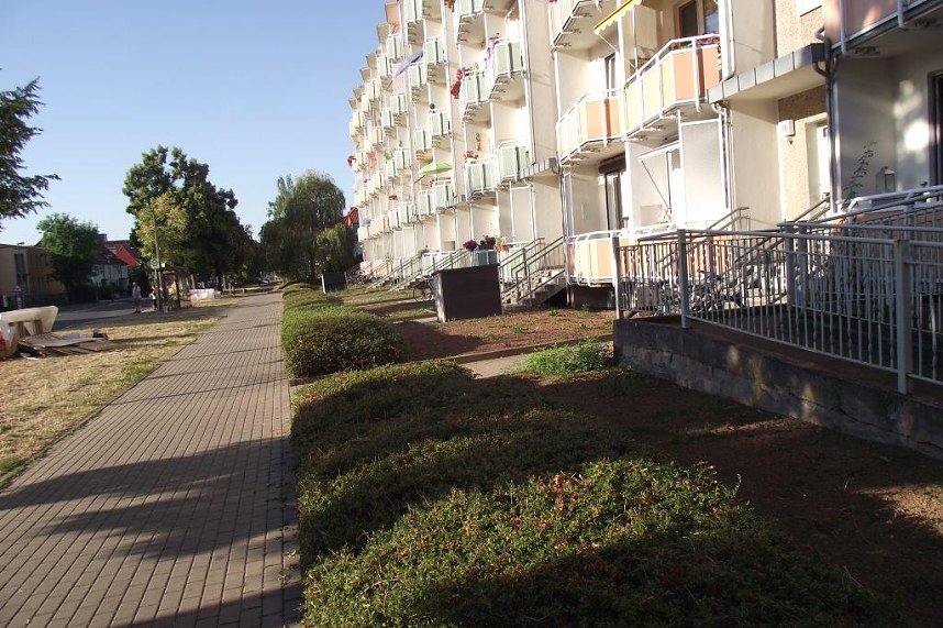  Au&szlig;er mit Rasen nebst einer Reihe Bodendecker sei eine Bepflanzung dieser unscheinbaren Vorg&auml;rten nicht vorgesehen, verlautet aus der SWG.