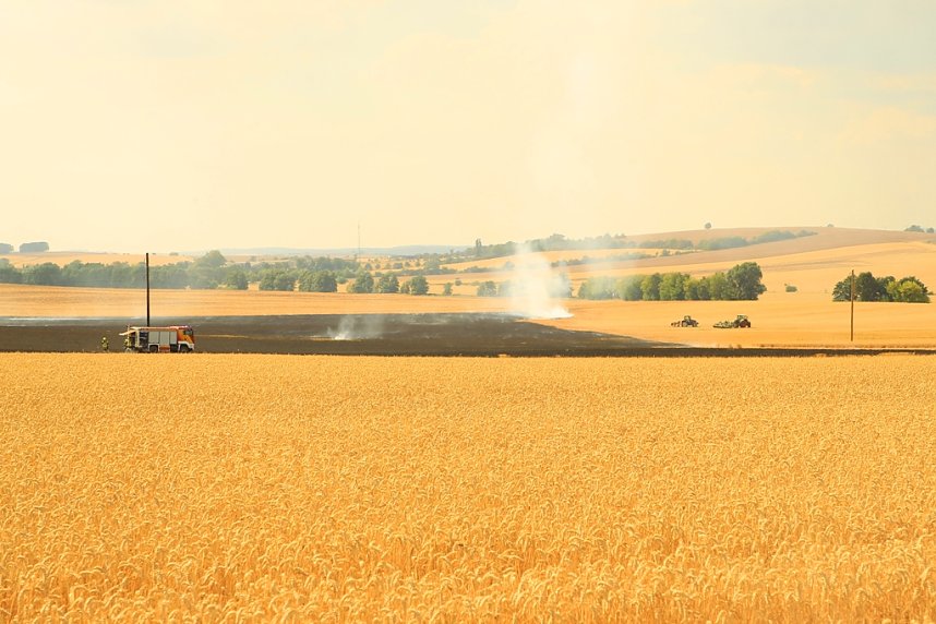 Fl&auml;chenbrand bei Gro&szlig;wechsungen