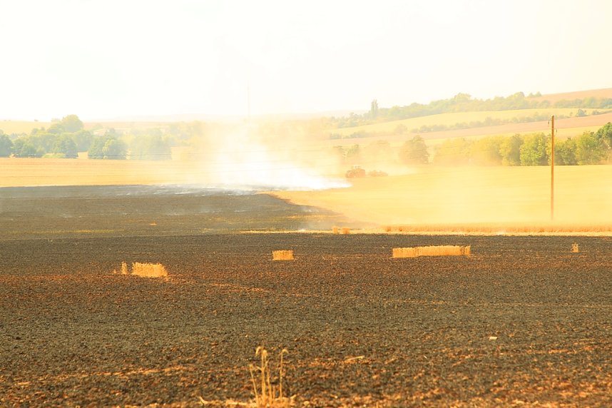 Fl&auml;chenbrand bei Gro&szlig;wechsungen