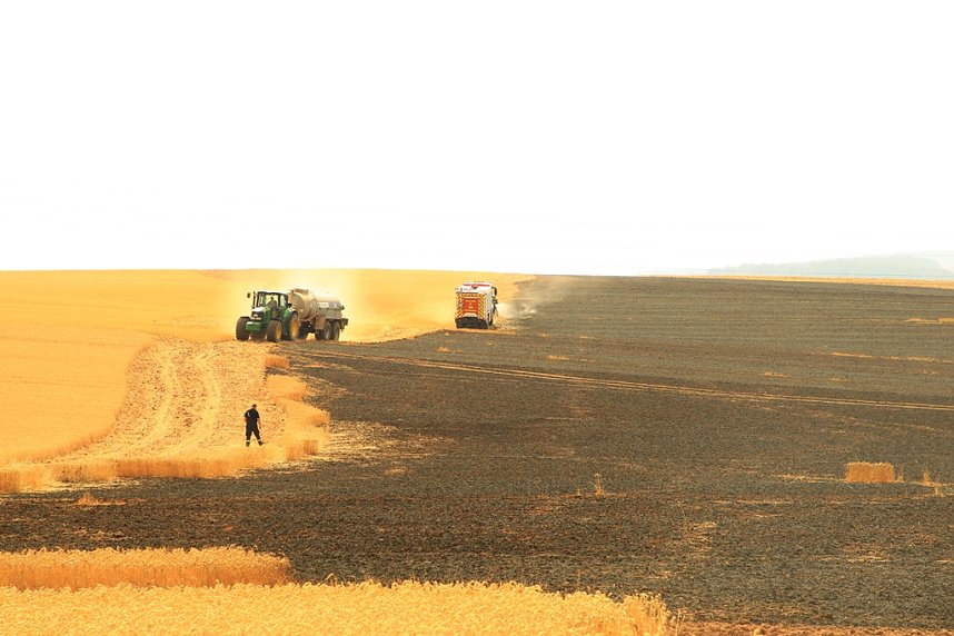Fl&auml;chenbrand bei Gro&szlig;wechsungen