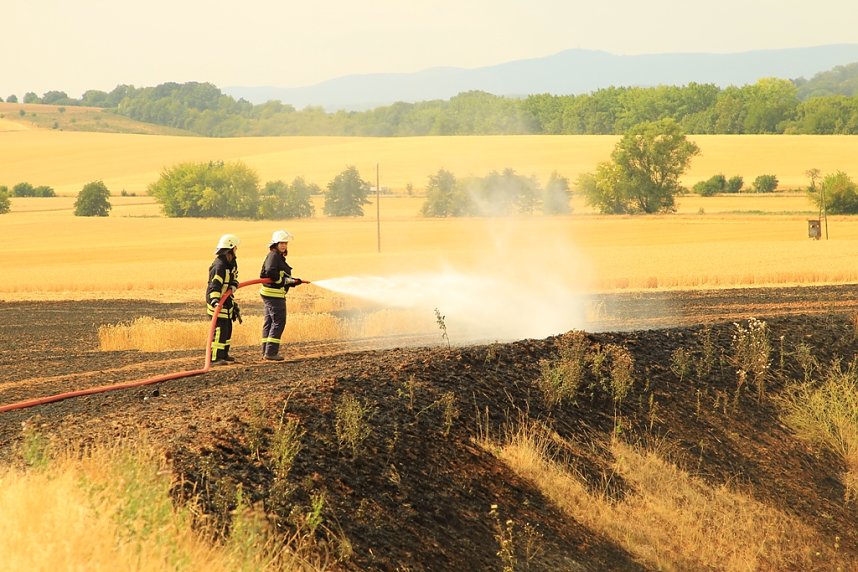 Fl&auml;chenbrand bei Gro&szlig;wechsungen