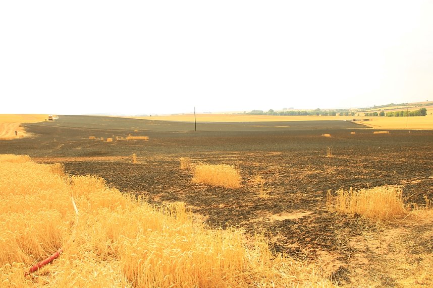 Fl&auml;chenbrand bei Gro&szlig;wechsungen