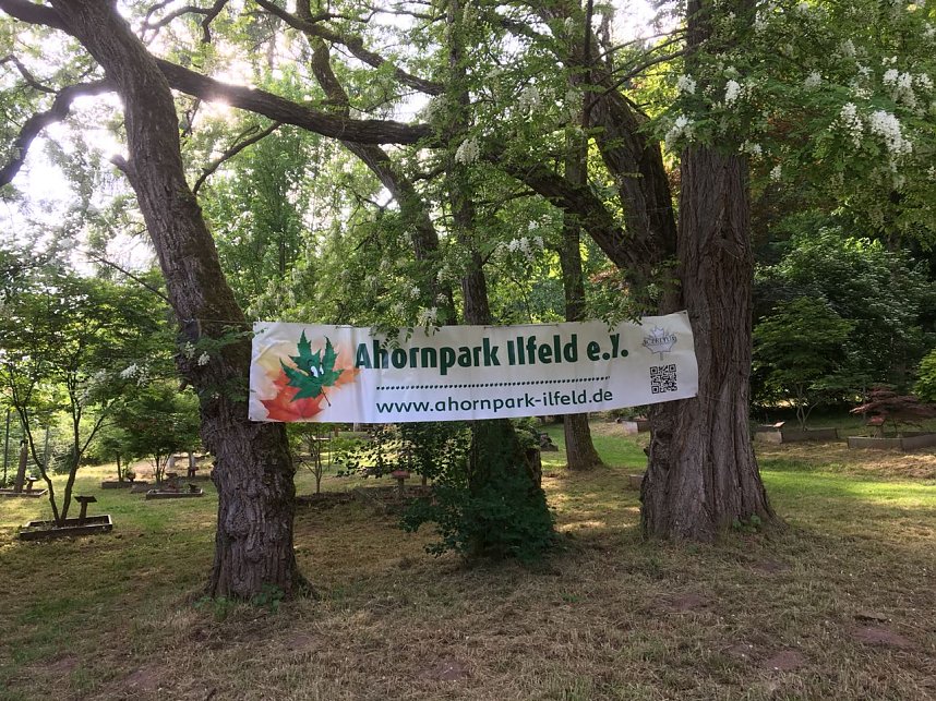 Party wurde abgesagt