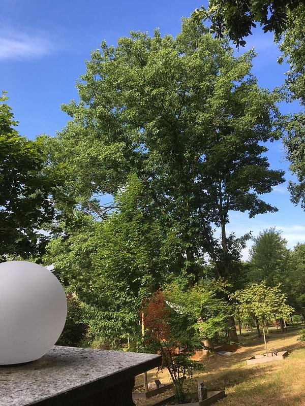 Party wurde abgesagt