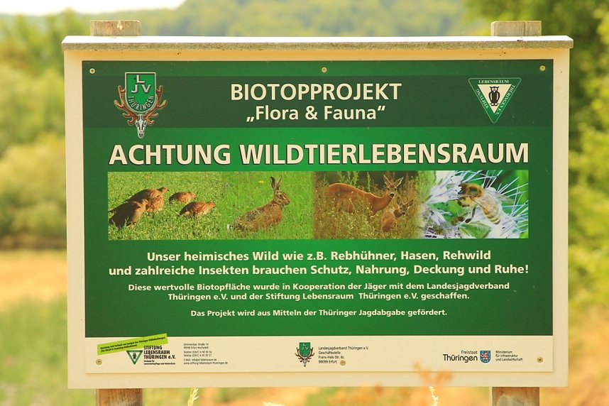 Fl&auml;chenbrand zwischen Gro&szlig;- und Kleinfurra