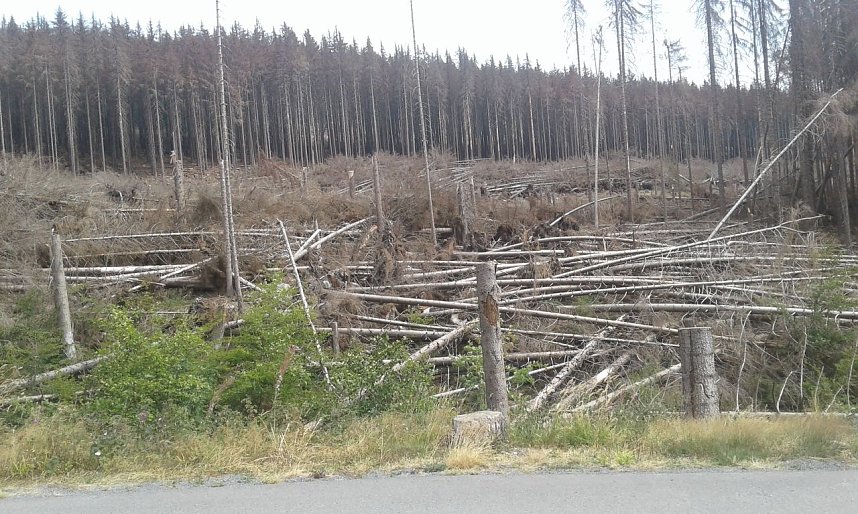 12. Harz-Hunderter Extrem &uuml;ber 147 km