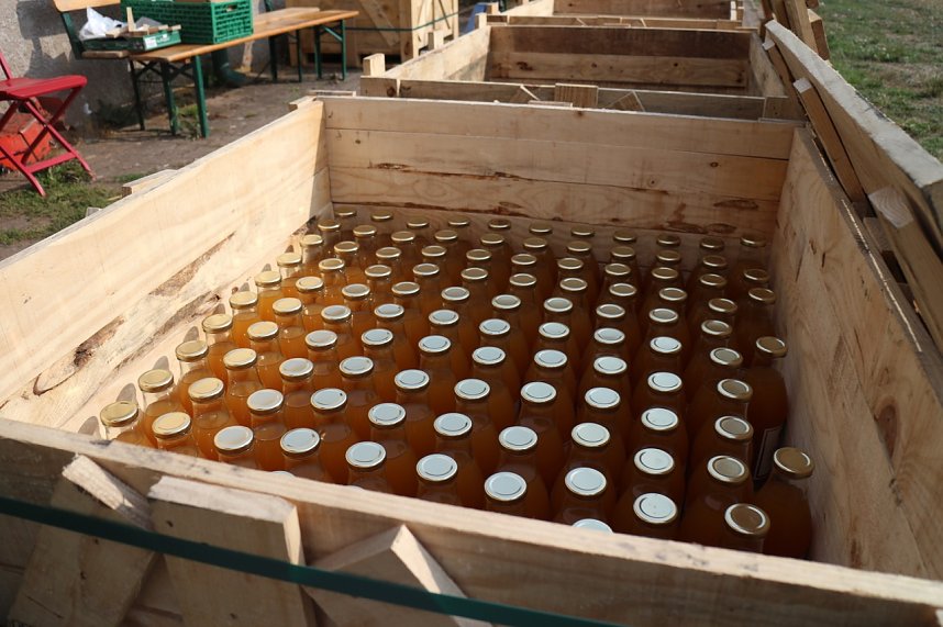 Besuch in der Hofmosterei Harzungen