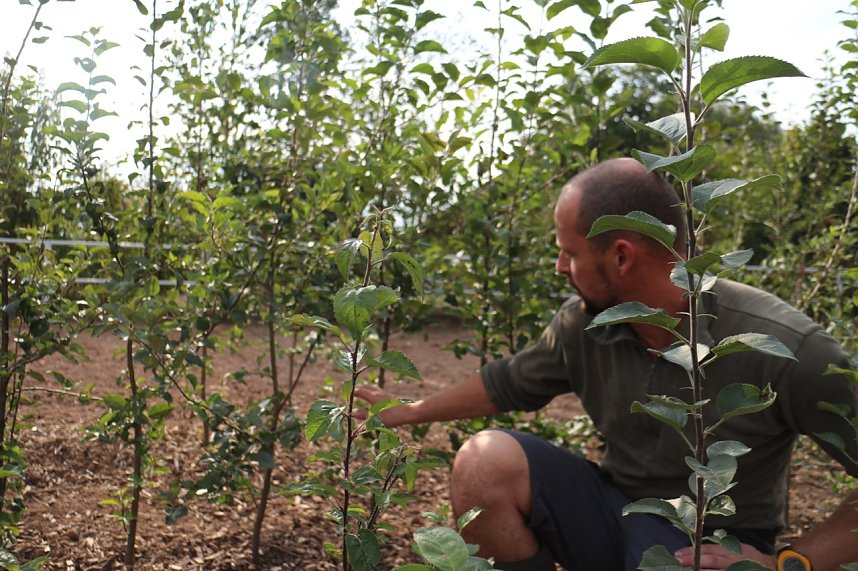 Besuch in der Hofmosterei Harzungen