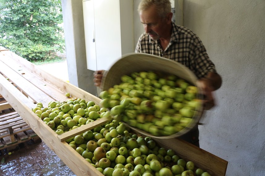 Besuch in der Hofmosterei Harzungen