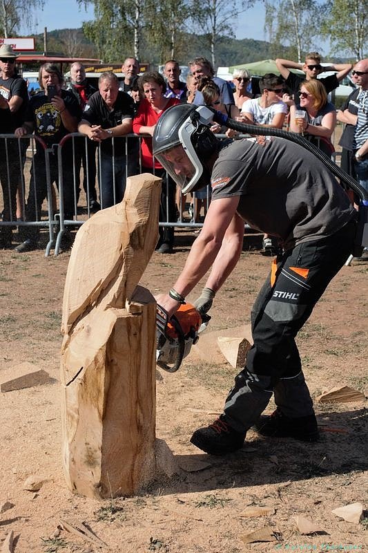 Emmenrausch am Stausee Kelbra