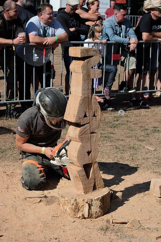 Emmenrausch am Stausee Kelbra