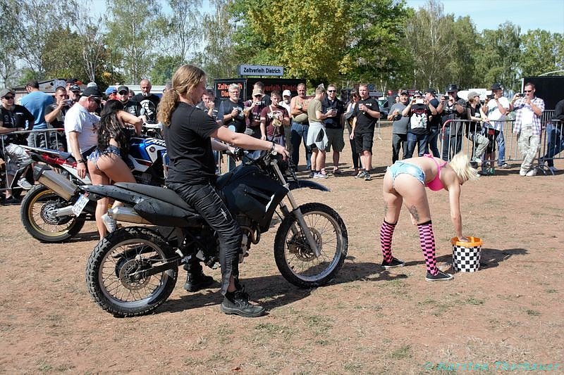 Emmenrausch am Stausee Kelbra