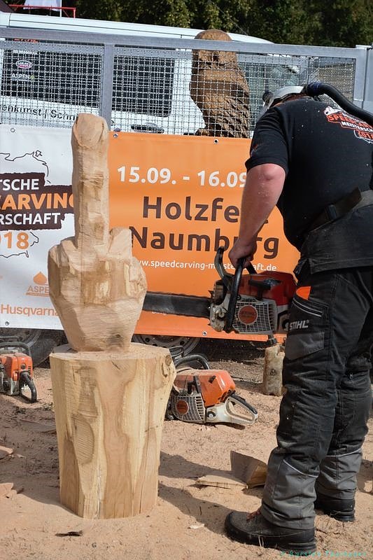 Emmenrausch am Stausee Kelbra