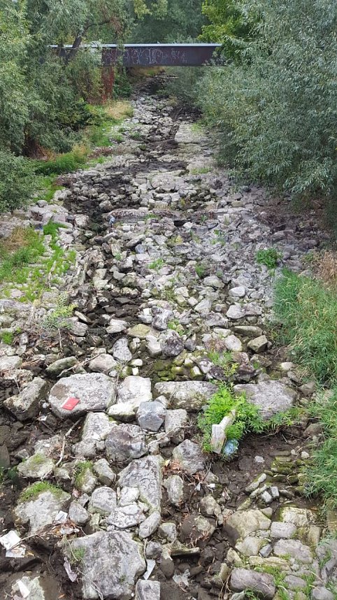 Das flie&szlig;t kaum noch Wasser - die Zorge entlang der Uferstra&szlig;e in Nordhausen