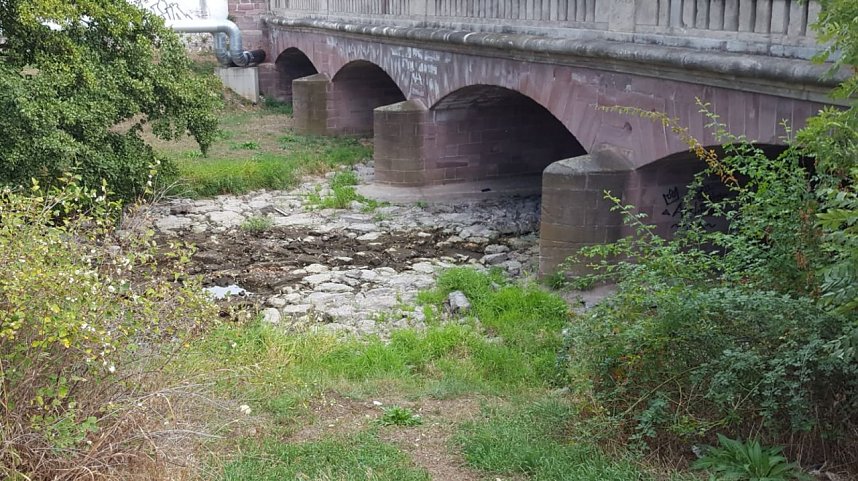 Das flie&szlig;t kaum noch Wasser - die Zorge entlang der Uferstra&szlig;e in Nordhausen