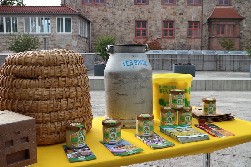 Zum Bibliothekstag drehte sich alles um flei&szlig;ige Bienen und s&uuml;&szlig;en Honig