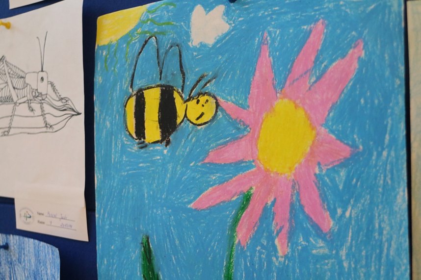 Zum Bibliothekstag drehte sich alles um flei&szlig;ige Bienen und s&uuml;&szlig;en Honig