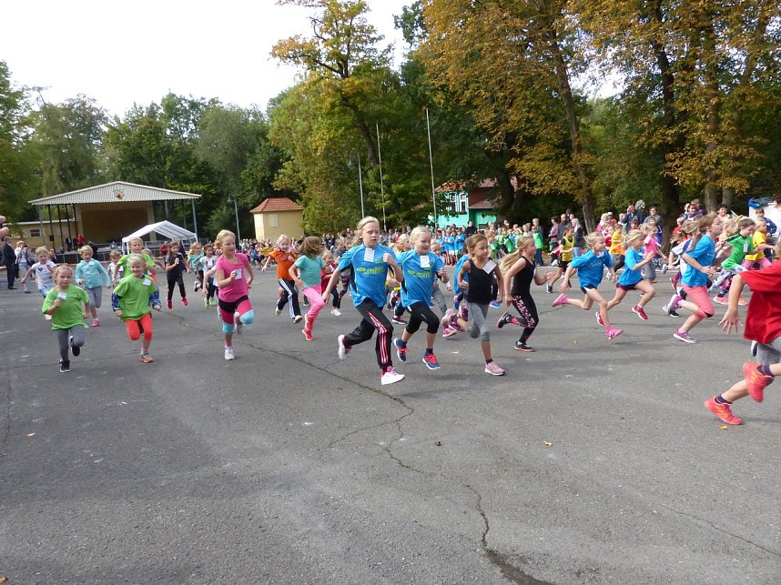 Herbstcross im Nordh&auml;user Gehege