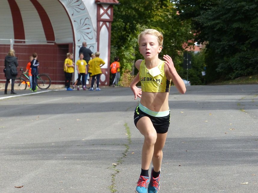 Herbstcross im Nordh&auml;user Gehege