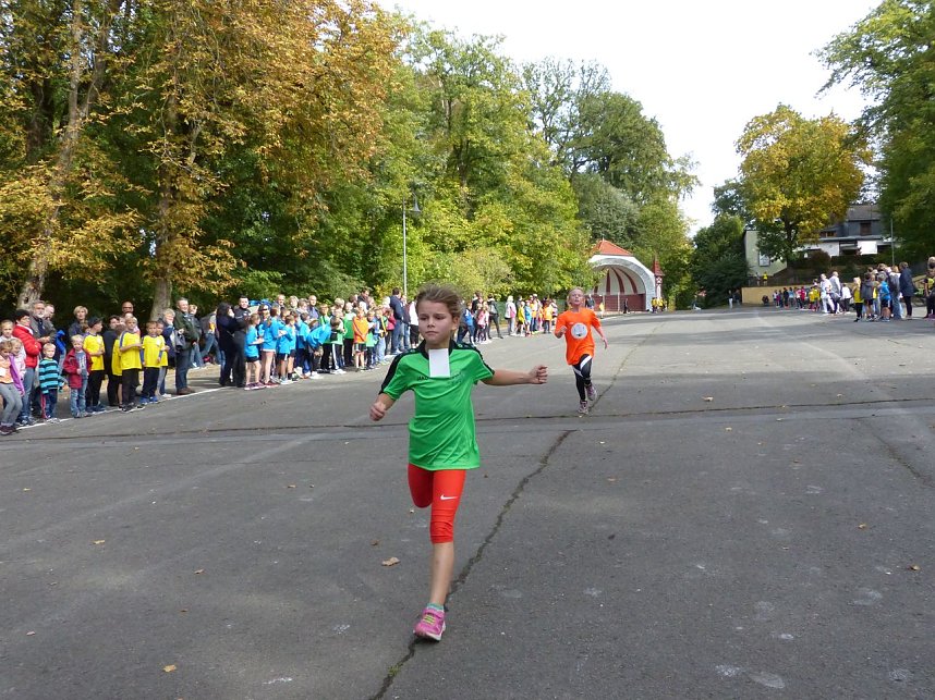 Herbstcross im Nordh&auml;user Gehege