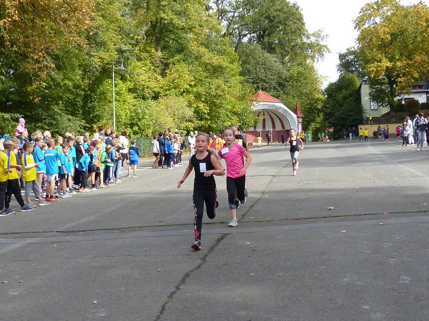 Herbstcross im Nordh&auml;user Gehege