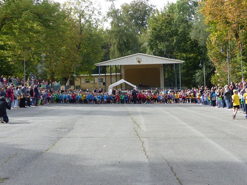 Herbstcross im Nordh&auml;user Gehege