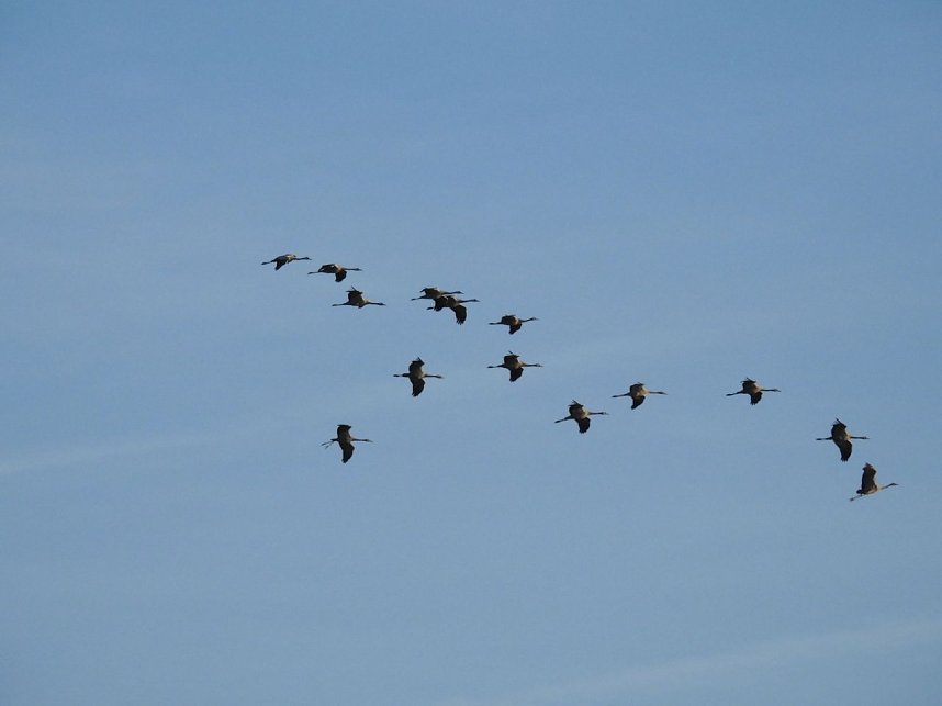 Die Vorboten flogen an