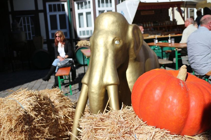 1. Erntedankfest in der Echten Nordh&auml;user Traditionsbrennerei