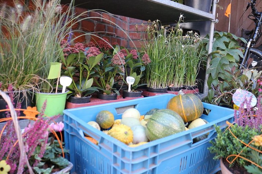 1. Erntedankfest in der Echten Nordh&auml;user Traditionsbrennerei