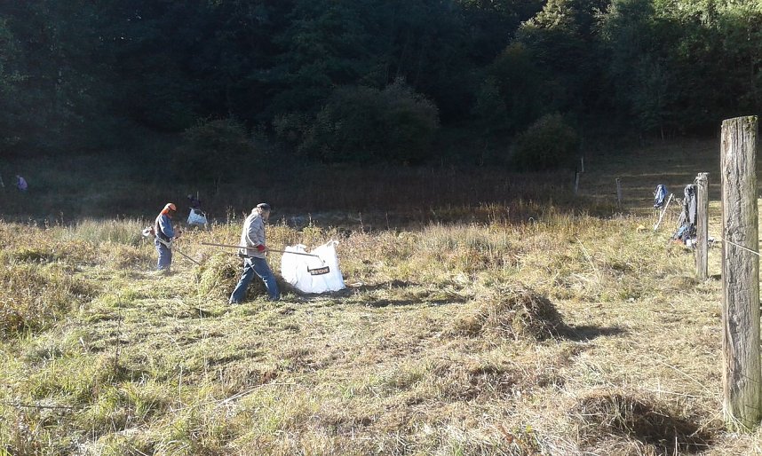 Zehn Enthusiasten im Feuchtgebiet