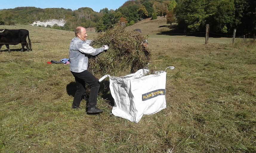 Zehn Enthusiasten im Feuchtgebiet