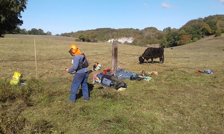 Zehn Enthusiasten im Feuchtgebiet