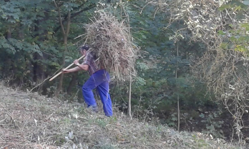 Zehn Enthusiasten im Feuchtgebiet