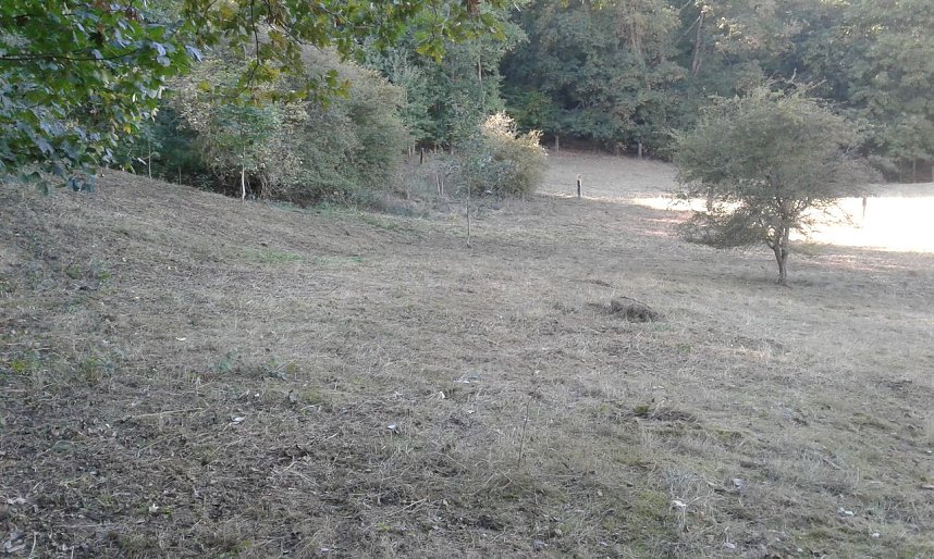 Zehn Enthusiasten im Feuchtgebiet