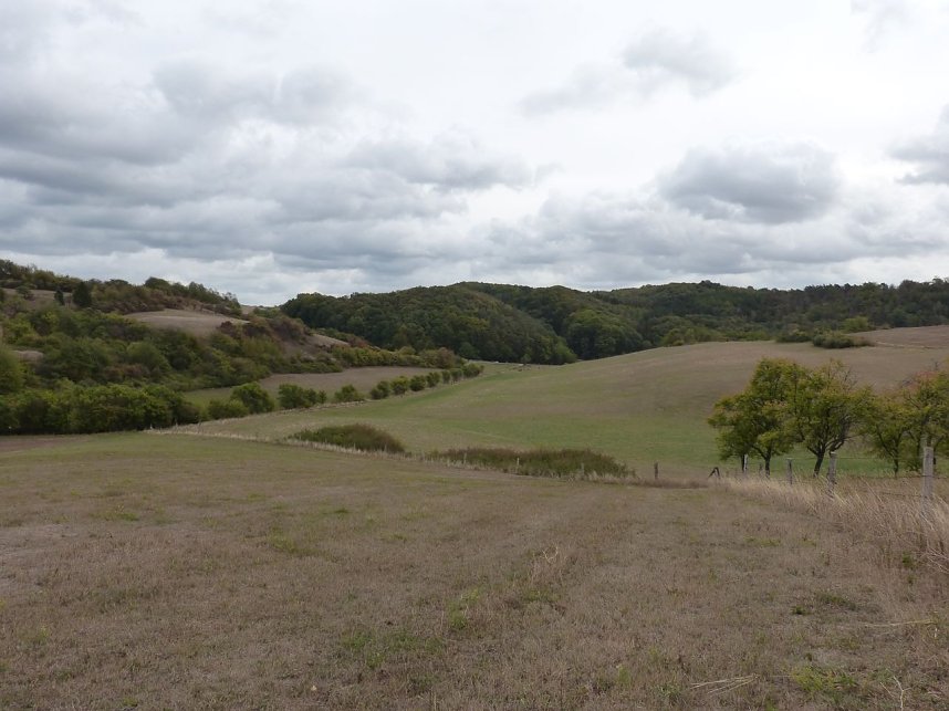 Geplante Neuverritzungsfl&auml;che zwischen Steigerthal und Stempeda