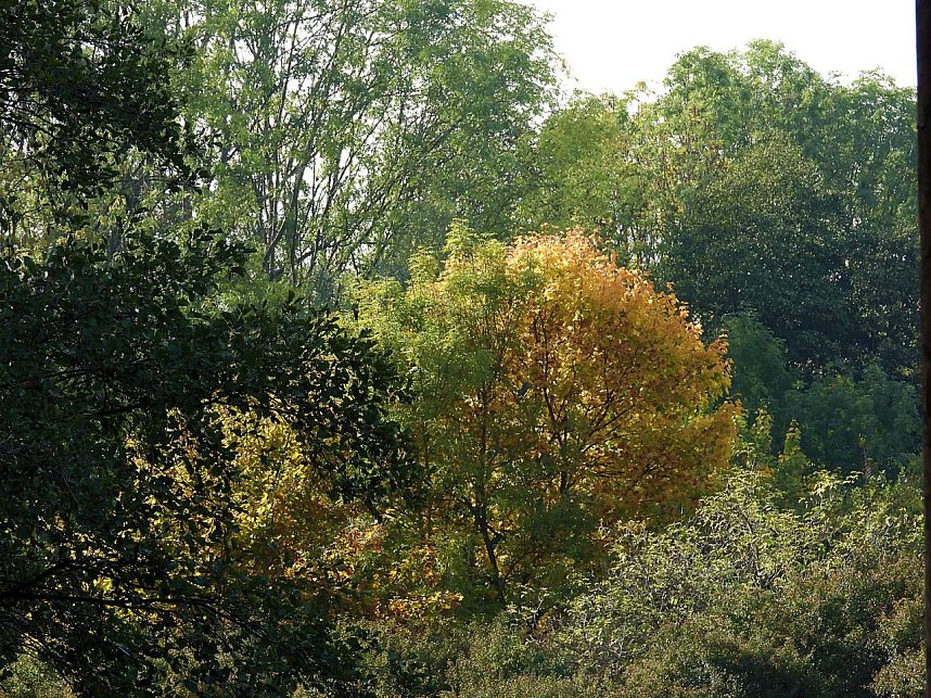 Herbstlicher Spaziergang