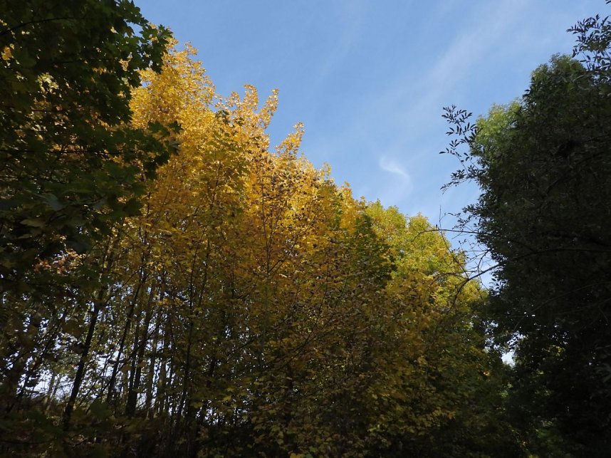 Herbstlicher Spaziergang