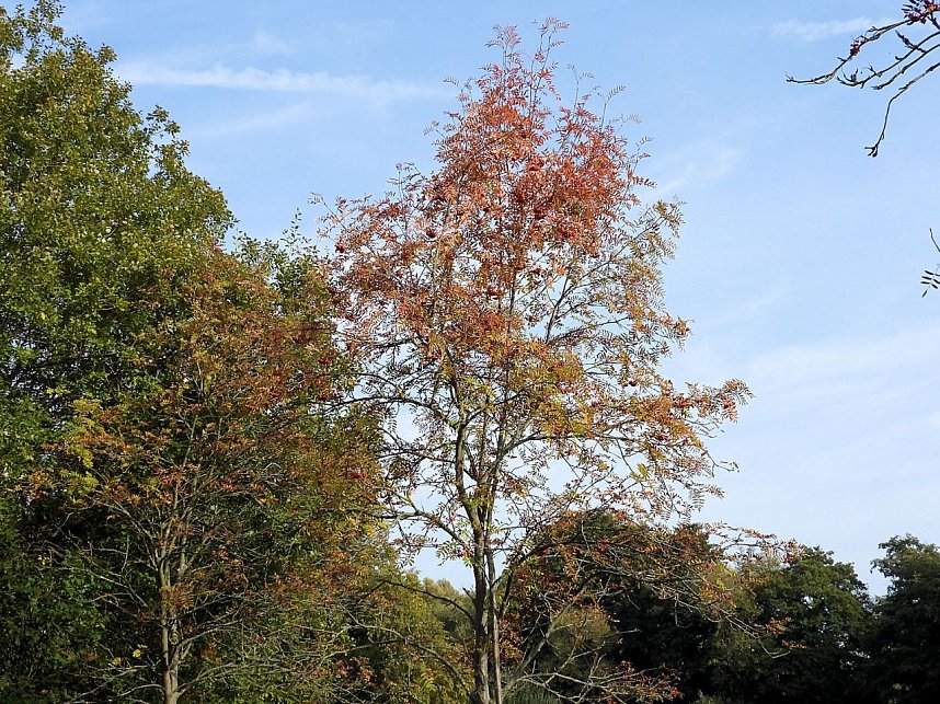 Herbstlicher Spaziergang