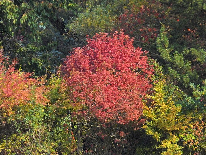 Herbstlicher Spaziergang