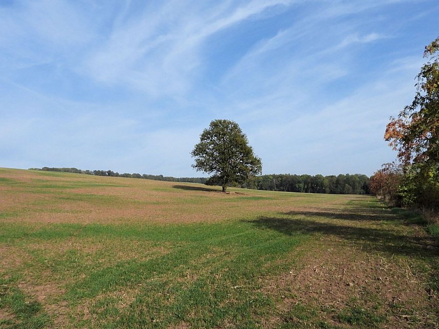 Herbstlicher Spaziergang