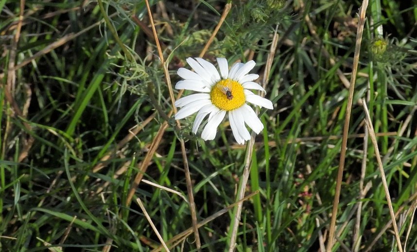 Herbstlicher Spaziergang