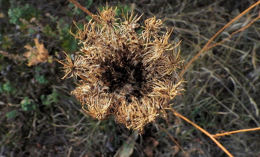 Herbstlicher Spaziergang