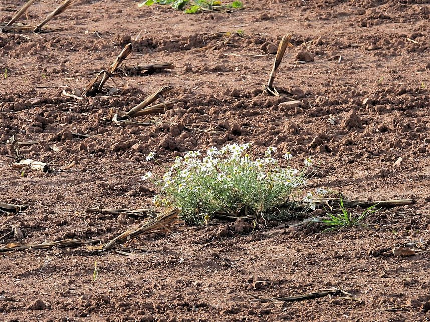 Herbstlicher Spaziergang