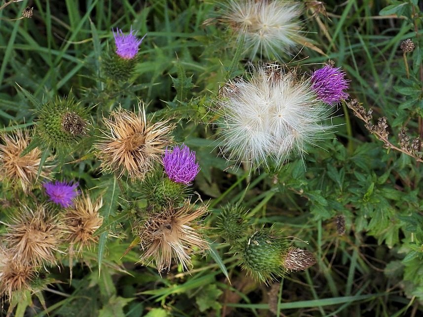 Herbstlicher Spaziergang